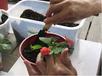 Horticultural therapy